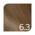 Revlonissimo Colorsmetique Dorados Coloración Permanente 60 ml | Revlon Professional
