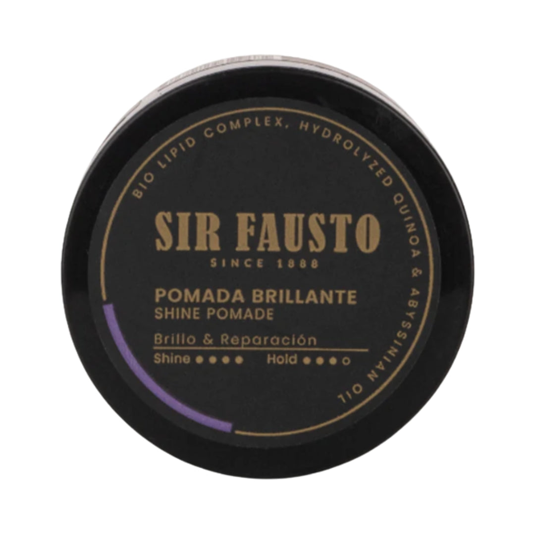 Pomada Brillante 100 g – Fijación media y acabado natural